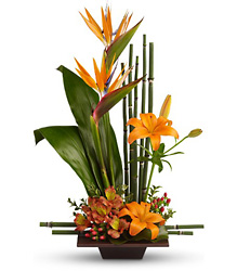 Teleflora's Exotic Grace from Boulevard Florist Wholesale Market